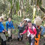 Kilimanjaro Tips: Trails & Treadmills