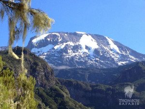 Snowy Mt. Kilimanjaro