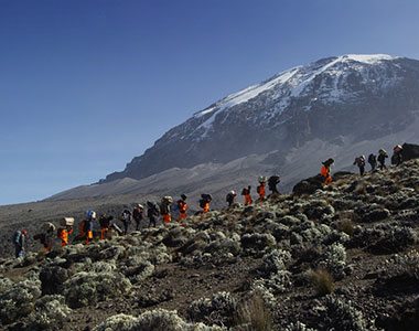 Porters carrying gear up the mountain