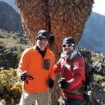 Only on Kilimanjaro: Giant Groundsels