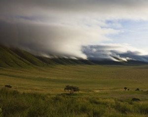 Tanzania's lush Ngorongoro Crater