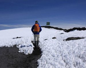 Trekker on the snowy path to the peak