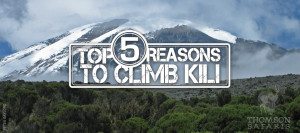 Top 5 Reasons to Climb Kili
