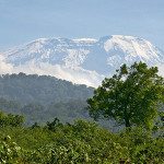 Awe Inspiring! The Seven Best Views on Kilimanjaro