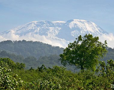 A picturesque view of Mt. Kilimanjaro