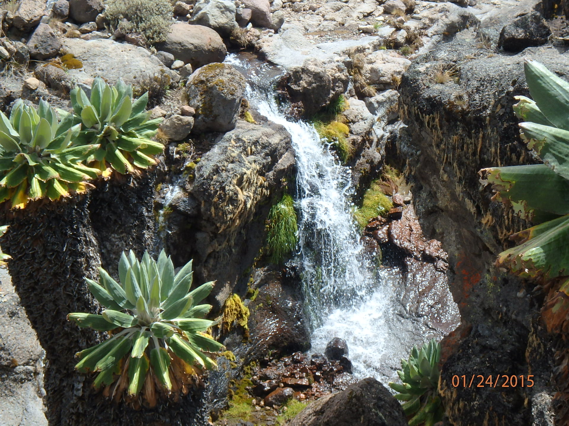 A small waterfall on the trail