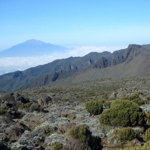 A section of trail on Kilimanjaro