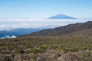 View of green vegetation and layer of clouds from Kilimanjaro
