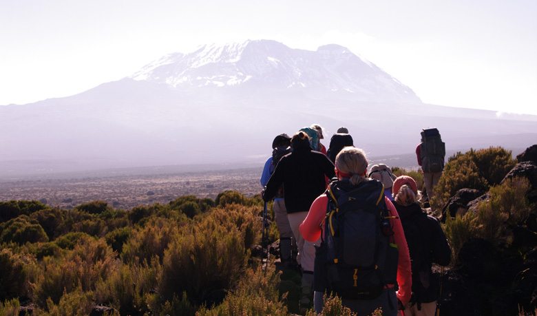 Trekkers looking ahead to Uhuru peak