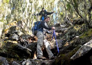 Trekkers climb rocks on the Umbwe Kilimanjaro route