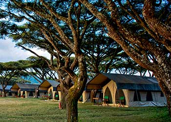  Ngorongoro Nyumba