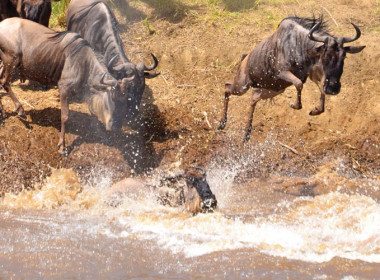 River crossing on the Crater to Plains safari extension