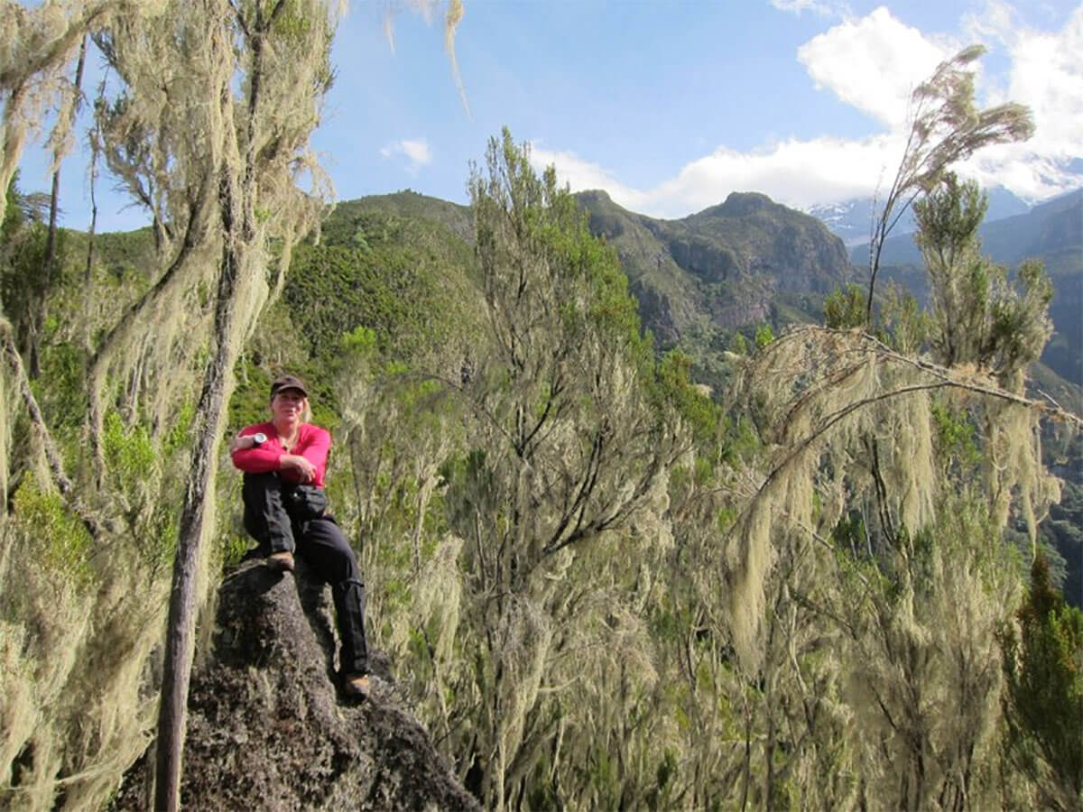 trekker on rock in heath climate zone of kilimanjaro