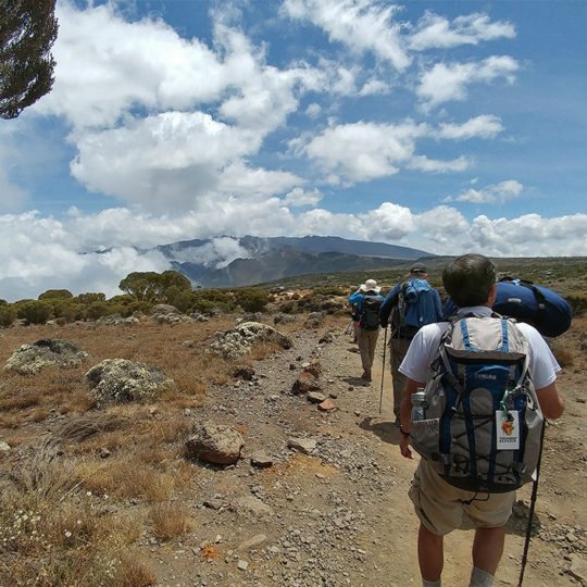 when is the best time to climb kilimanjaro