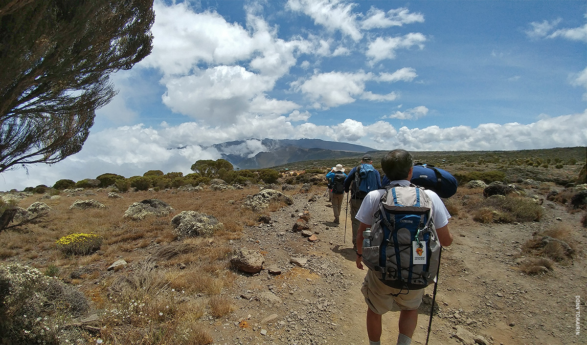 a man wondering "when is the best time to climb kilimanjaro?"