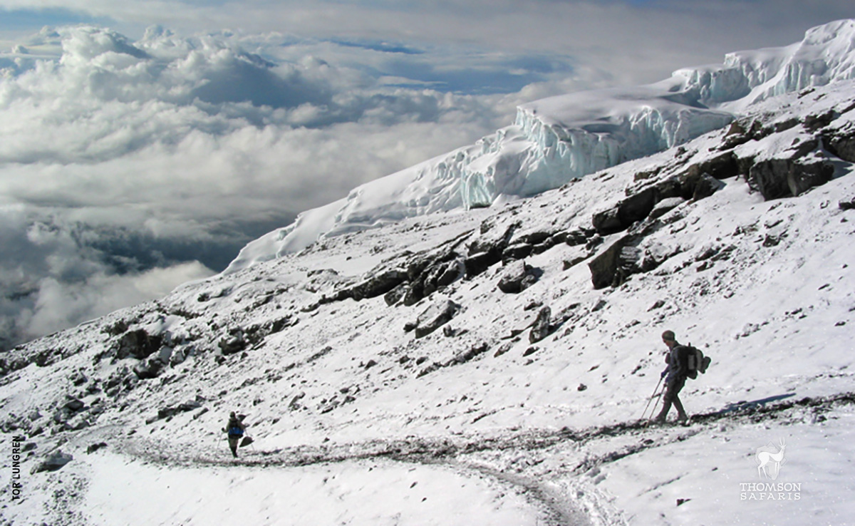 trekking past glaciers of kilimanjaro