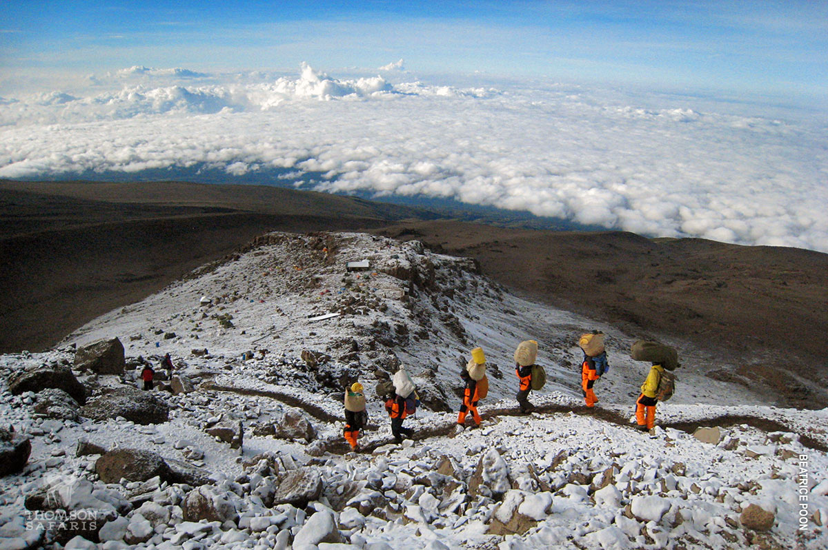 thomson porters in orange uniforms