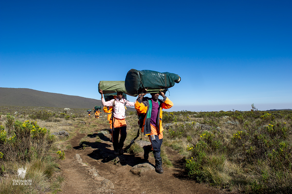 porters carrying gear on head up mount kilimanjaro