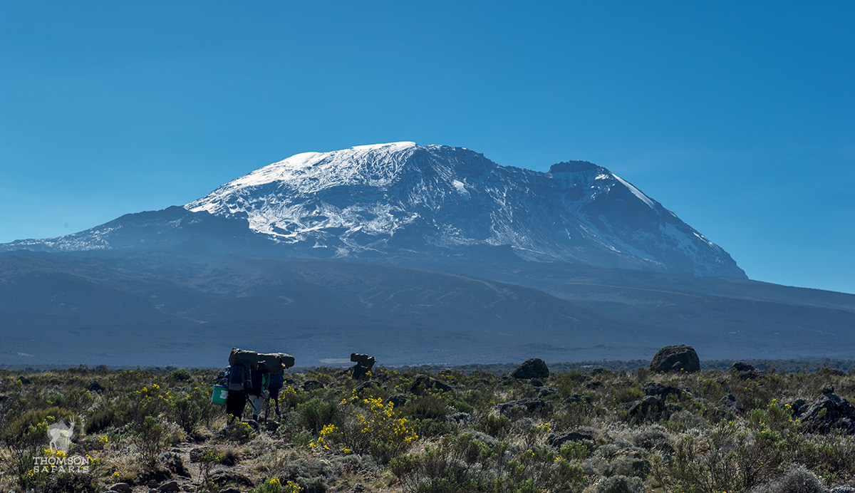 kilimanjaro porters