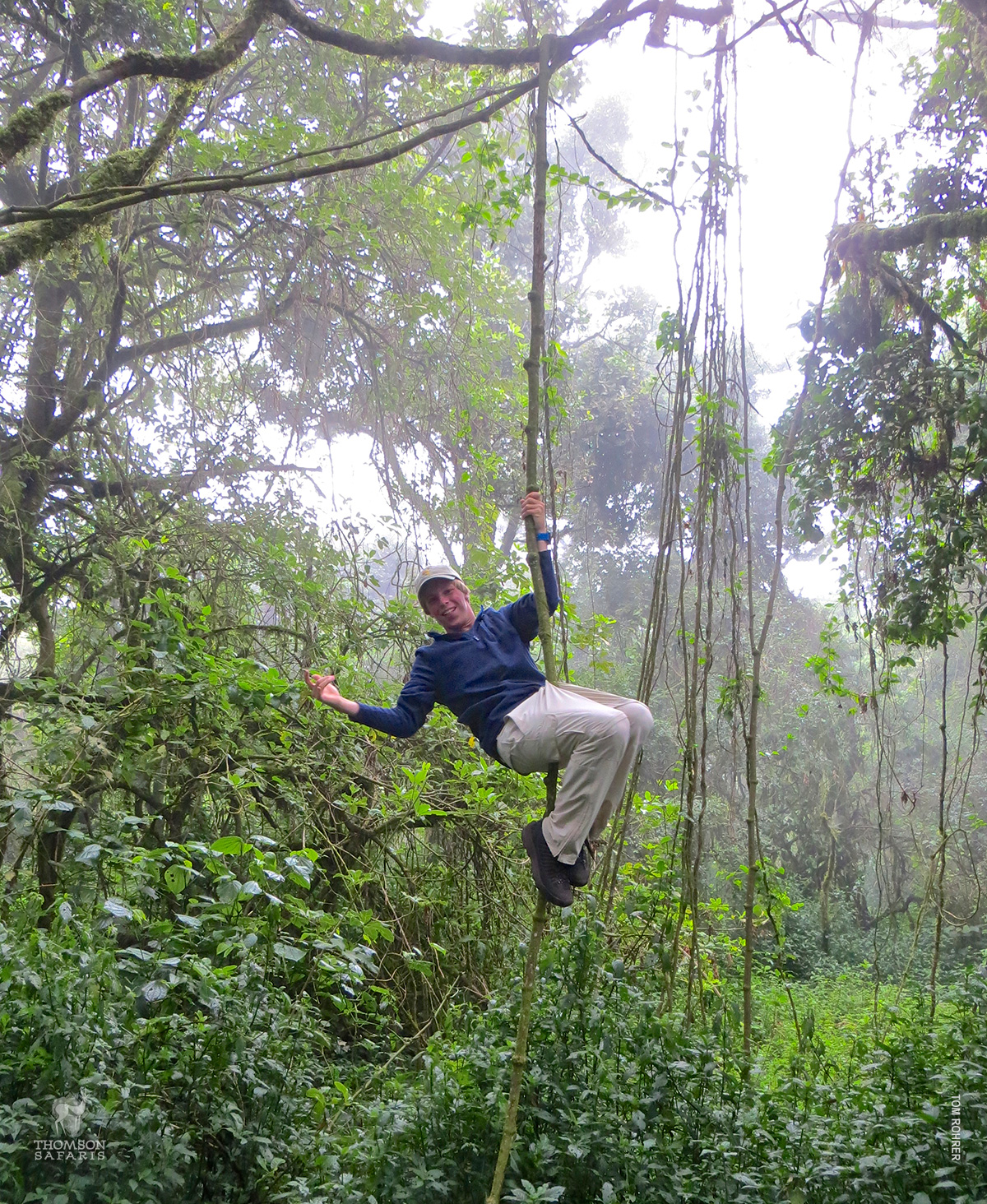 swinging from vines in rain forest 