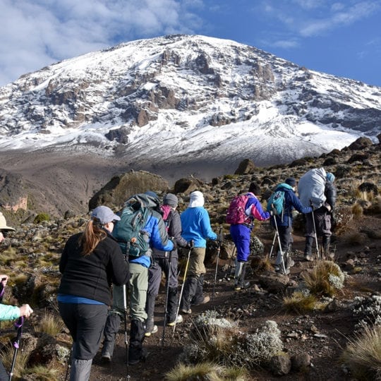 trek to kilimanjaro snowy kibo