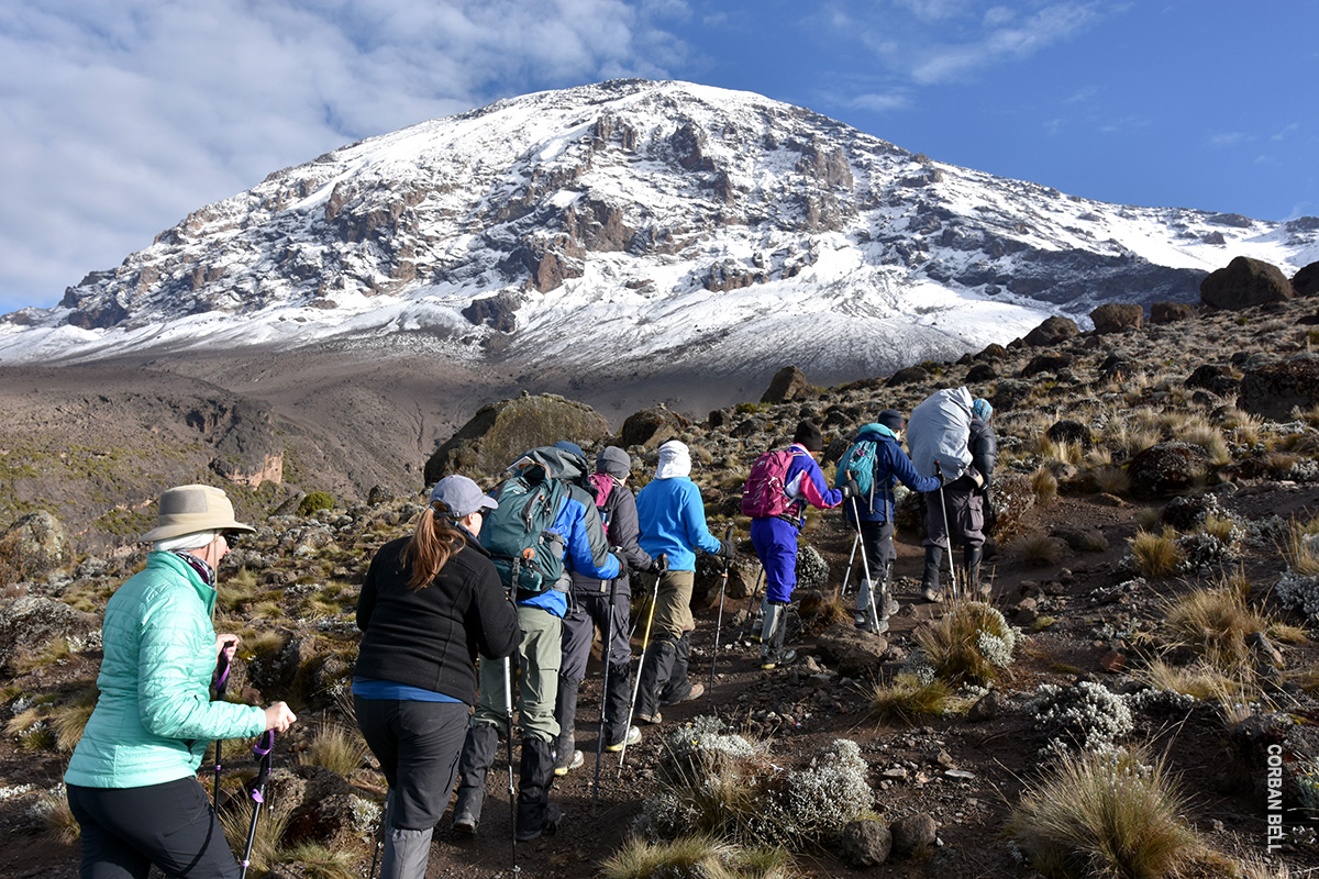 trek to kilimanjaro snowy kibo