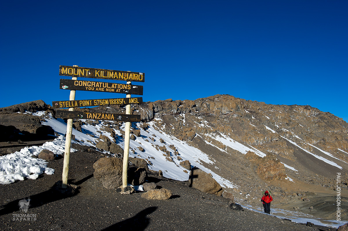 stella point sign on mt kilimanjaro