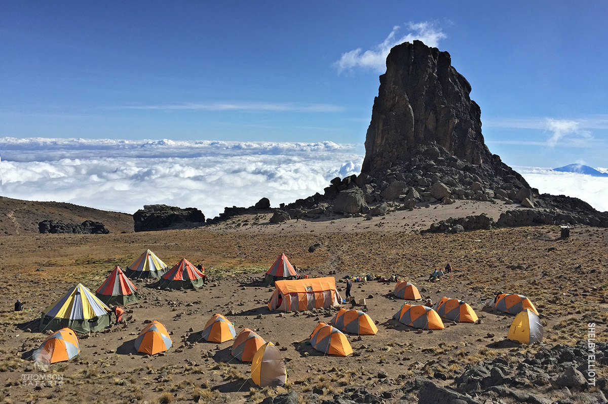camp at lava tower on kilimanjaro