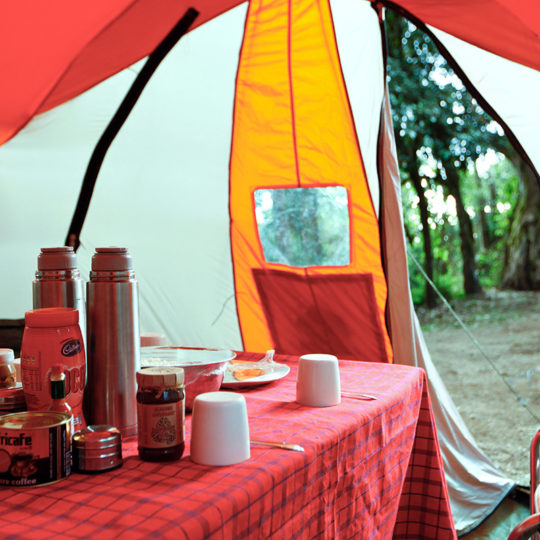 dining tent at forest camp on mount kilimanjaro