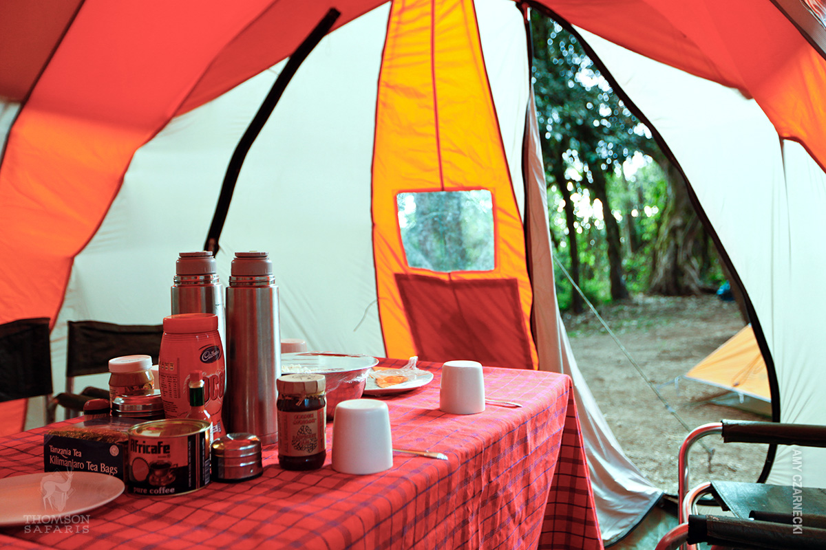 dining tent at forest camp on mount kilimanjaro