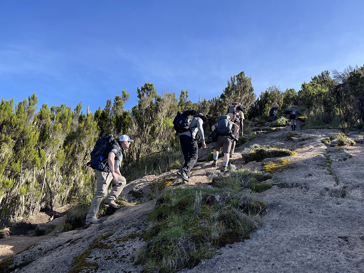 machame route trekking