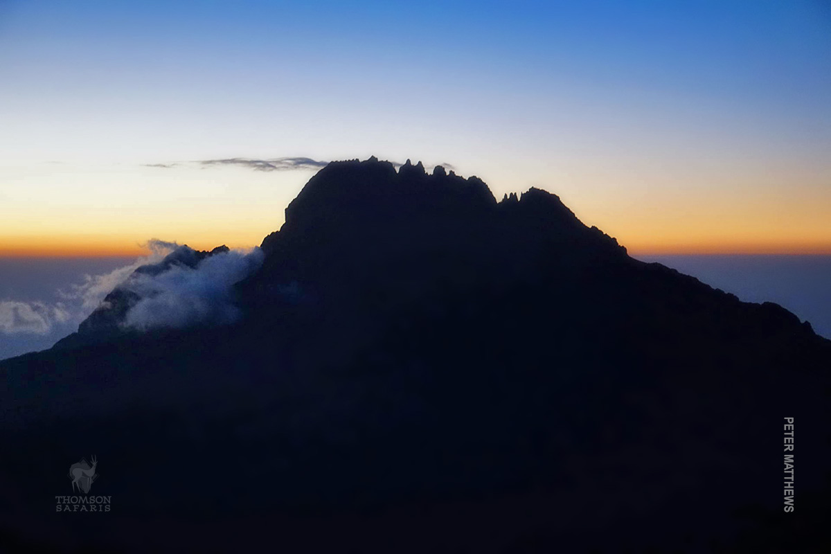 morning summit bid on mt kilimanjaro
