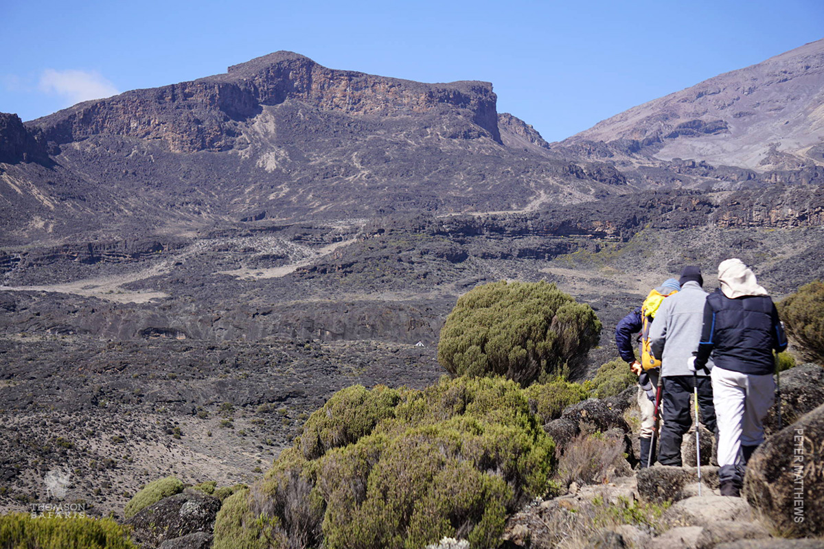 grand traverse trail on kilimanjaro