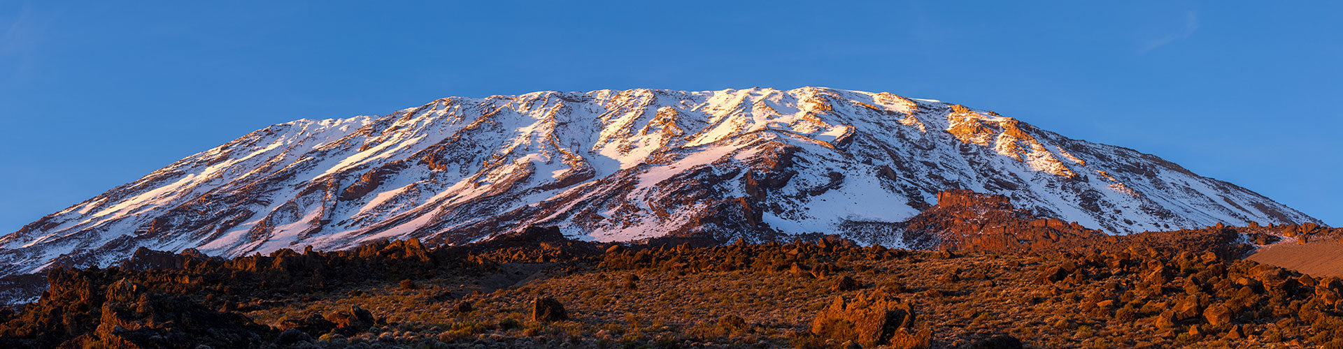 snowy kilimanjaro peak