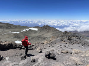 lisa descends from the summit of mount kilimanjaro
