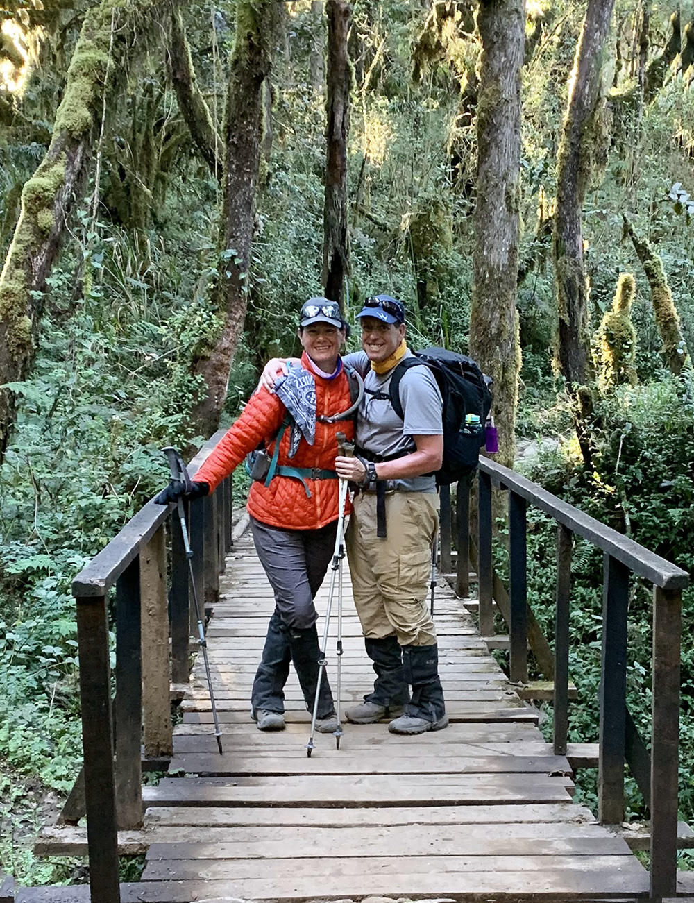 bridge in rainforest on mt kilimanjaro