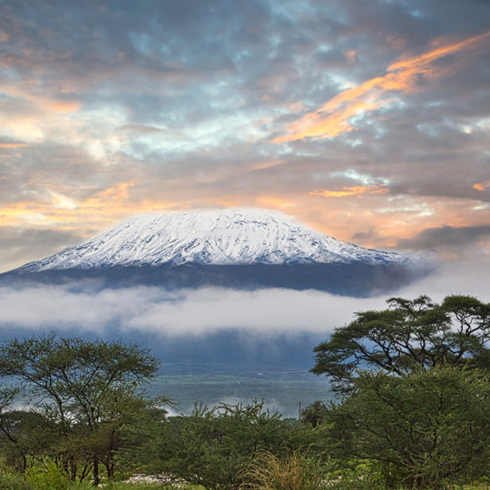 snows on kibo peak of kilimanjaro