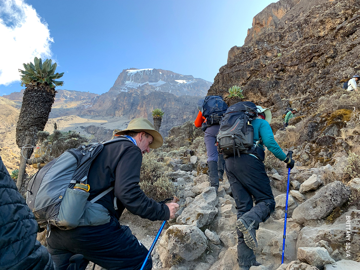 beginning barranco wall climb on kilimanjaro