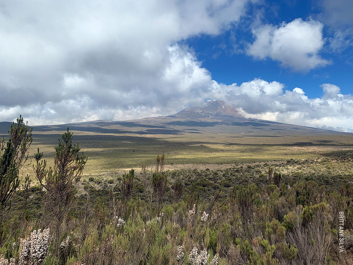 shira plateau of kilimanjaro