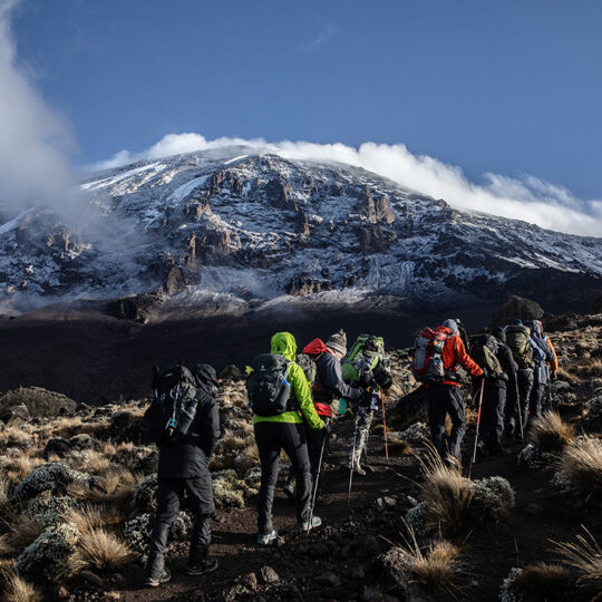 trekkers ascending to kibo peak