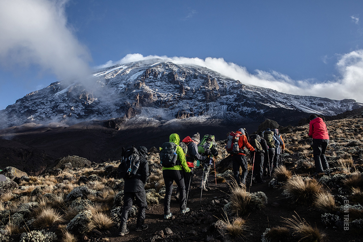 trekkers ascending to kibo peak