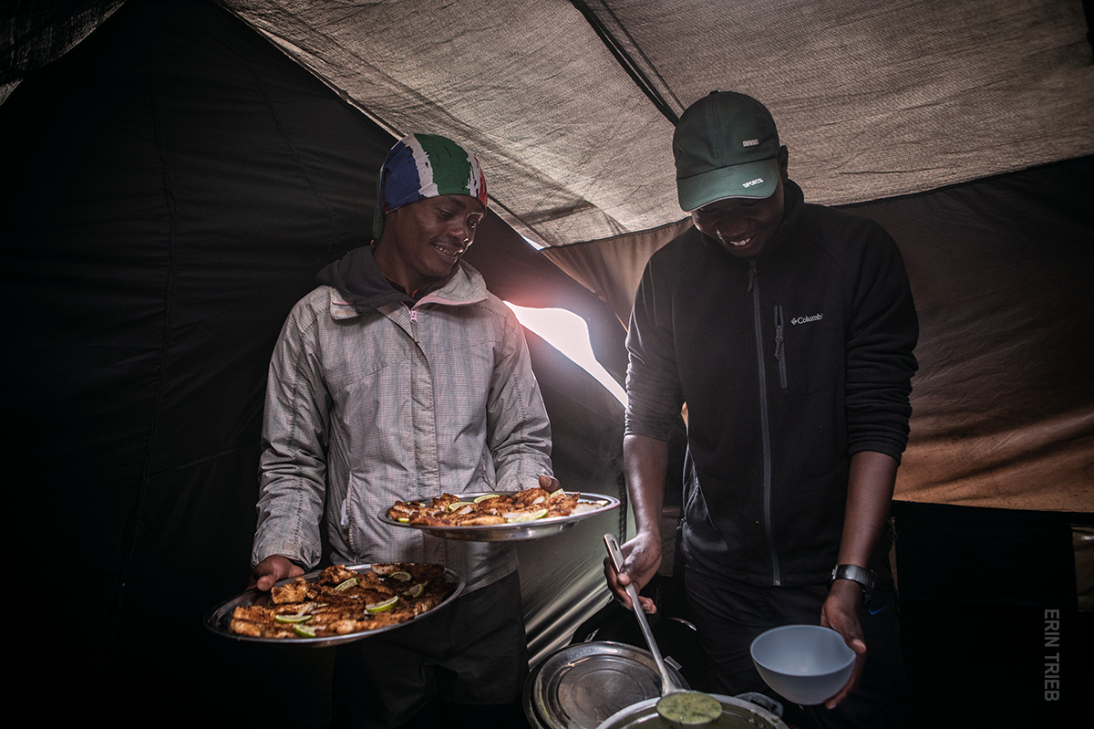 waiters serving dinner