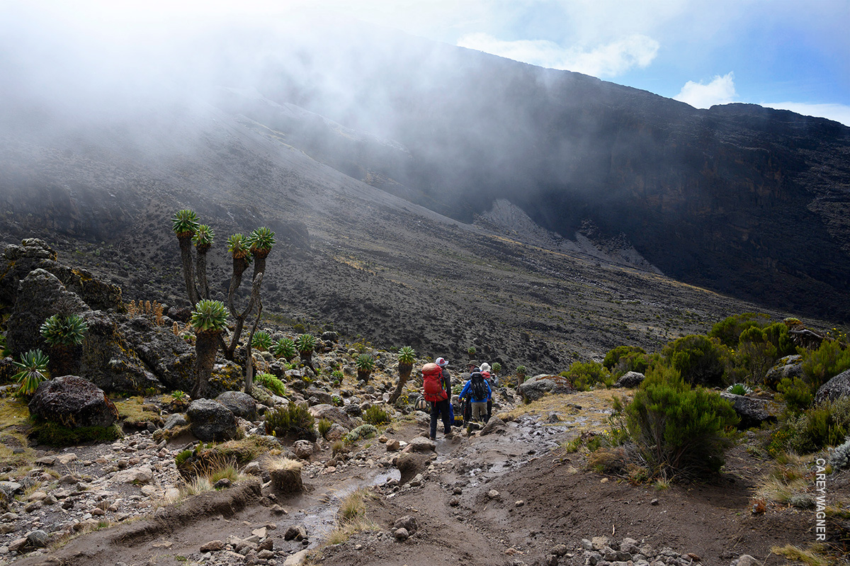trekking through kili's barranco valley