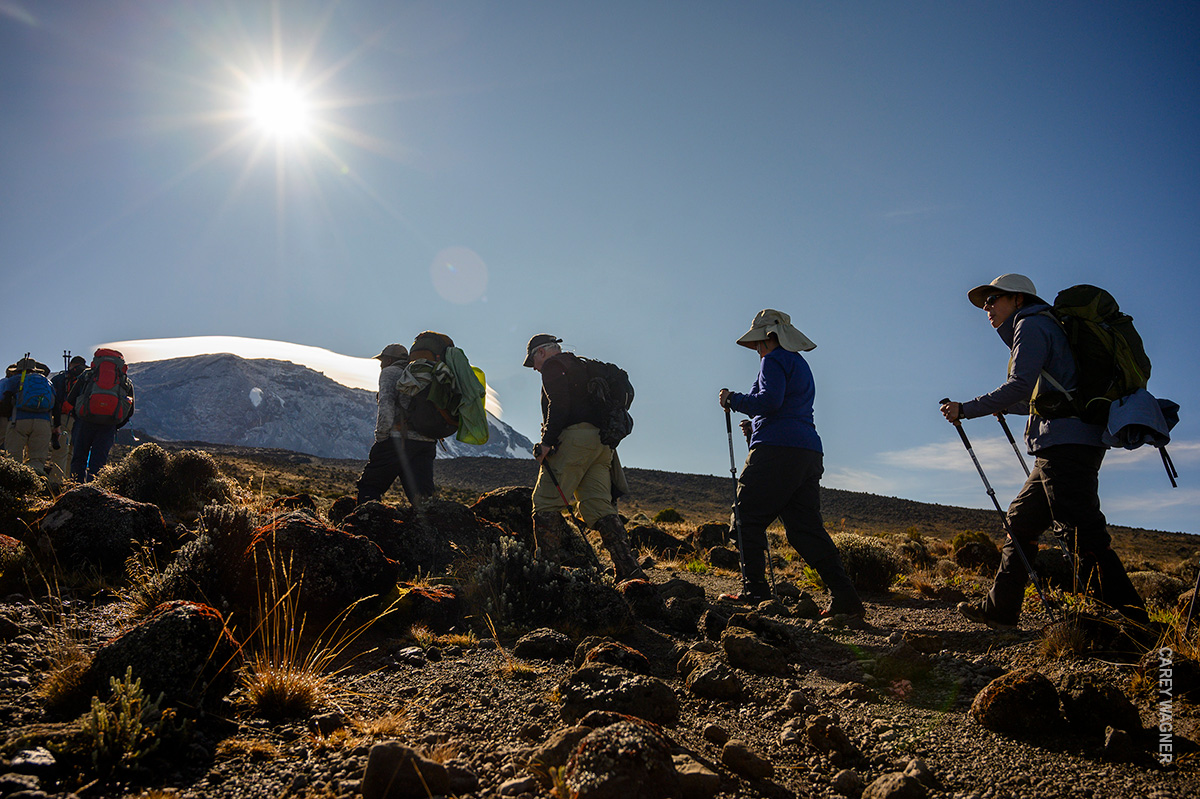 trekking in the bright sun on kilimanjaro