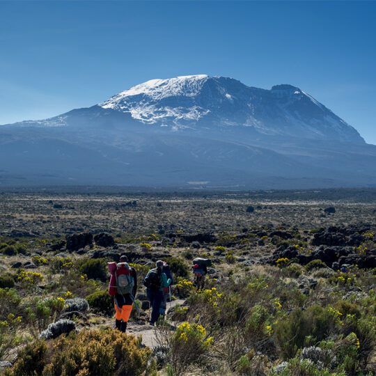 trekking across the shira plateau