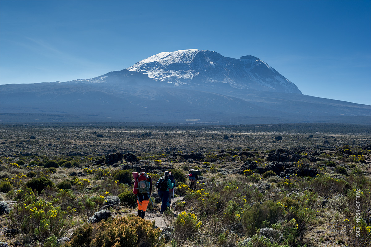 trekking across the shira plateau