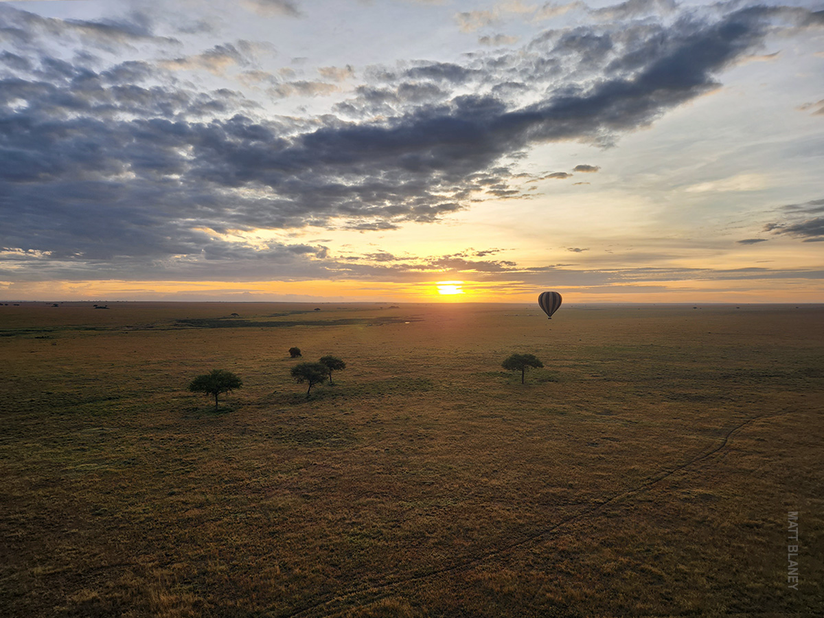 hot air balloon at dawn in serengeti