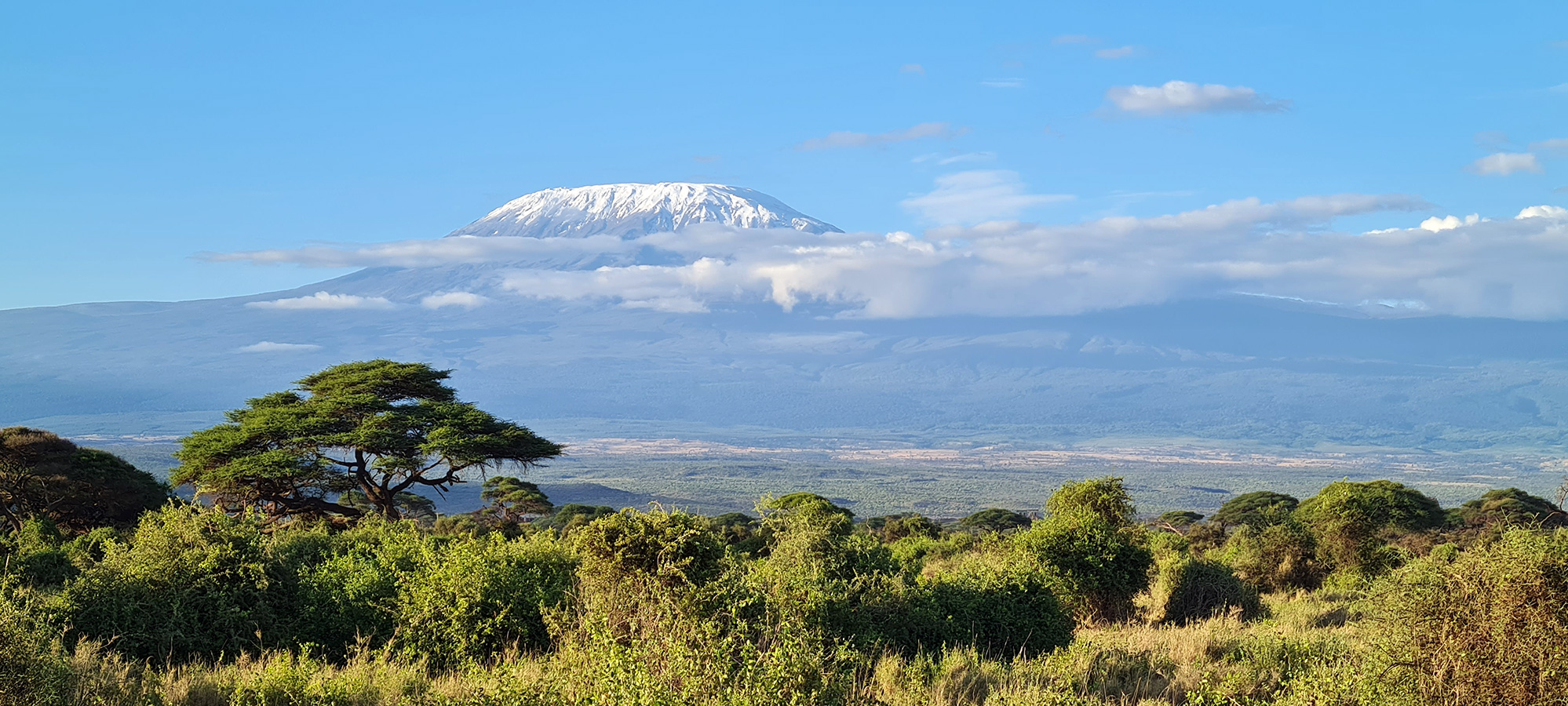 view of mount kilimanjaro from afar
