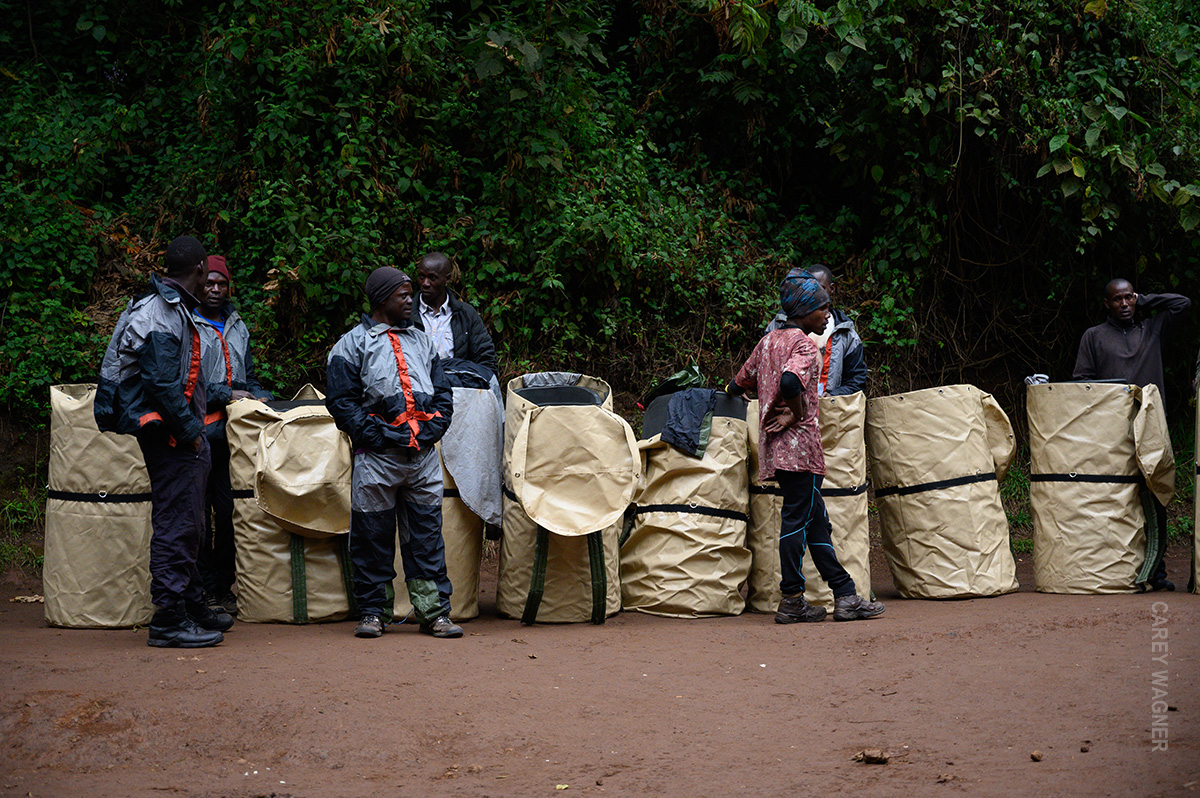 kilimanjaro porters with packed gear bags