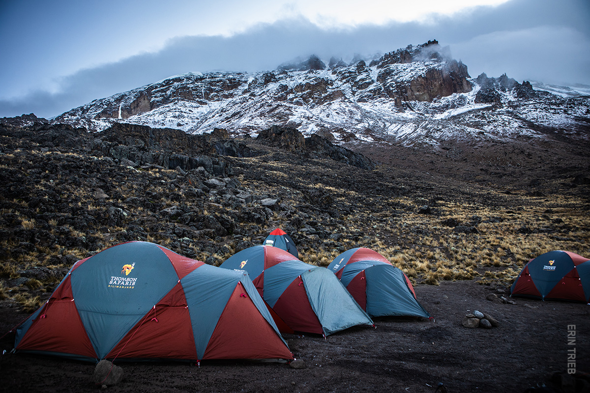 thomson safaris camp set up by porters on kilimanjaro